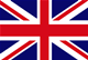 Website in English